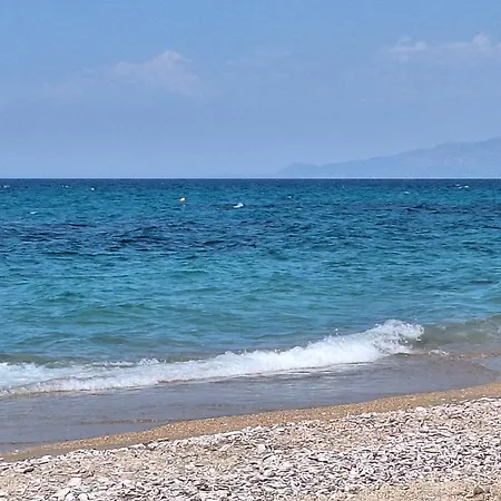 Stone Family Home Garden Center Beach アパート キパリシア